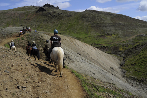 1-hour horseback ride in the south of Tenerife
