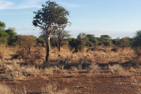 3-day Amboseli & SaltLick Safar: Kilimanjaro View & Treetop