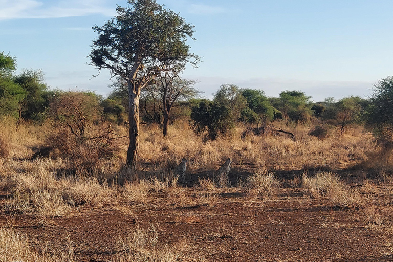 3-day Amboseli & SaltLick Safar: Kilimanjaro View & Treetop