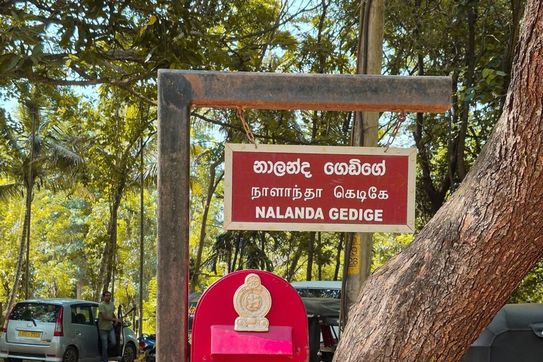 From Kandy: Sigiriya, Dambulla, & Minneriya Private Day Trip