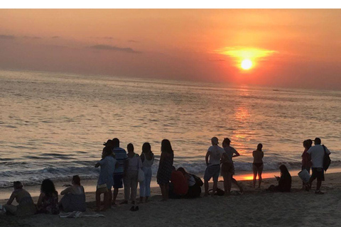 Baby Sea turtles release in Puerto Escondido