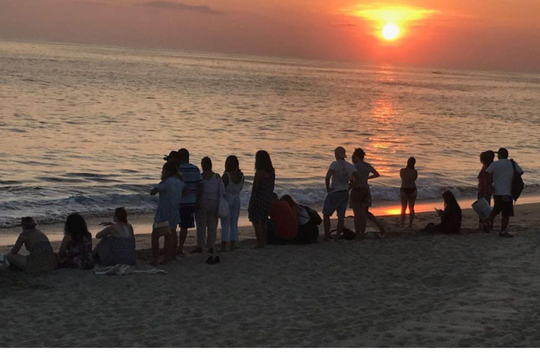 Baby Sea turtles release in Puerto Escondido