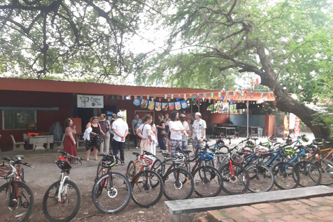 Private tour guide in Ayutthaya