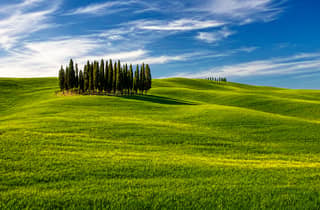 Einzigartige Brunello di Montalcino Weintour ab Siena