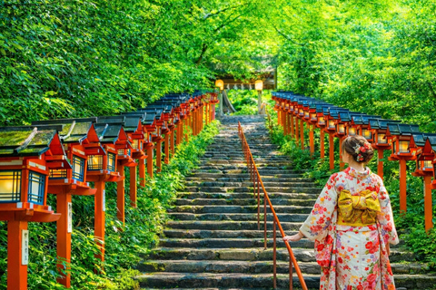 Kyoto: Private City Highlights Tour (Local Guide 6-Hour)