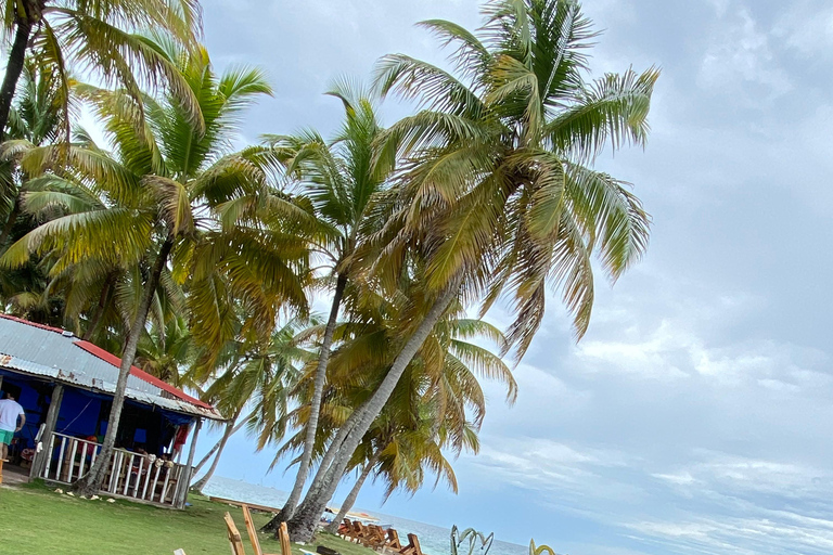 San Blas: La Casa de Papel Island Snorkeling, Paddle & Lunch