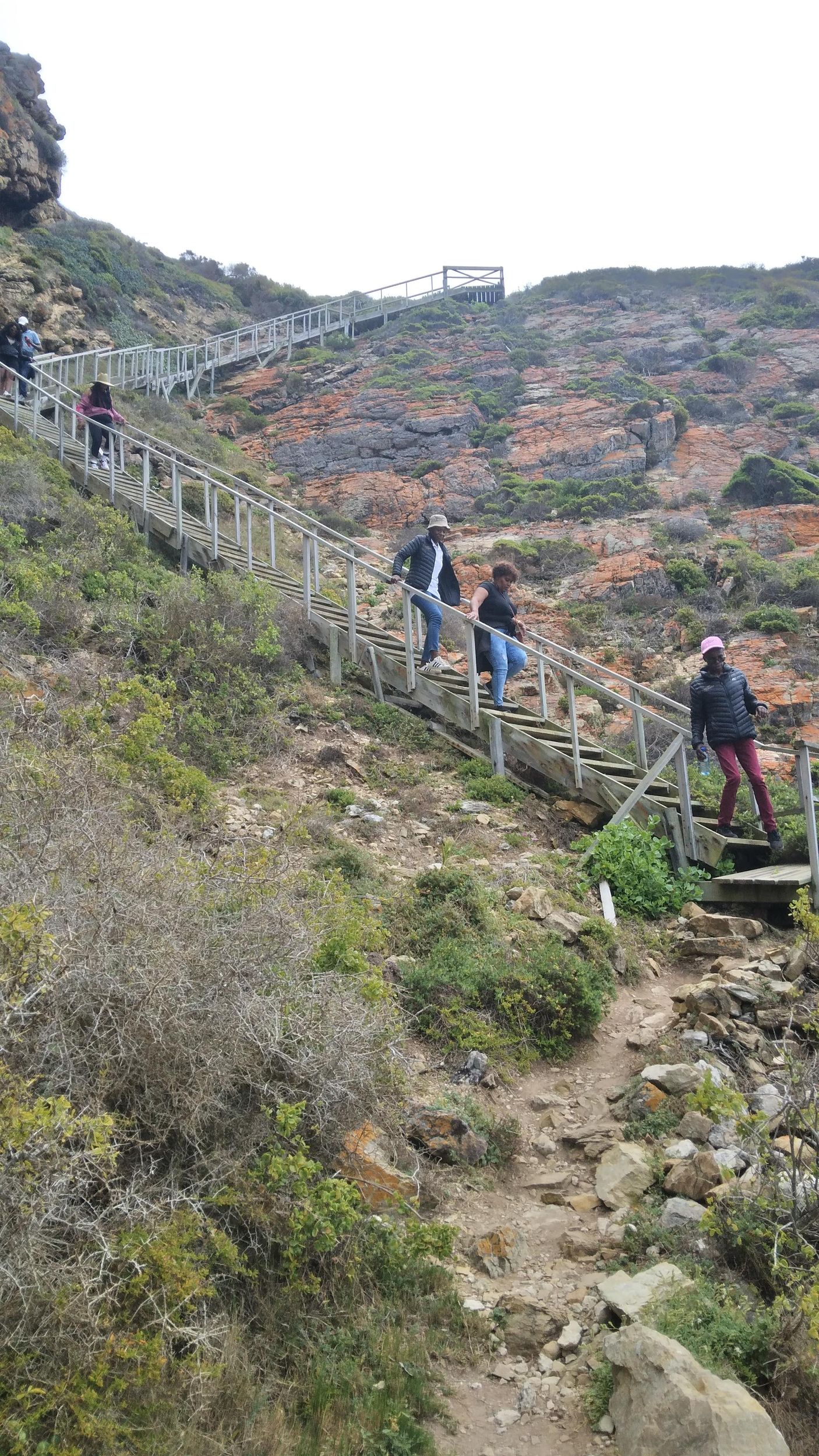 Ab Knysna: Mossel-Bay-Heritage- und Garden-Route-Tour