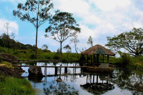 Kandy: Sir James Taylor’s Loolkandura Tea Heritage Hike