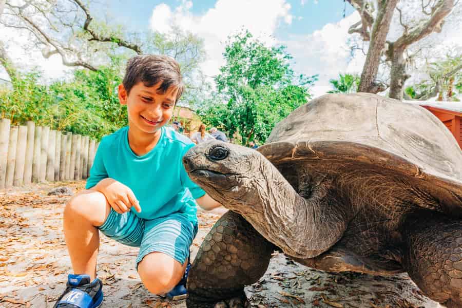 Tampa: ZooQuarium- ZooTampa & Florida Aquarium Kombiticket. Foto: GetYourGuide