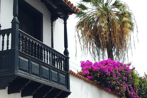 Percurso pedestre de 1 a 2 horas por Puerto de la Cruz, Tenerife