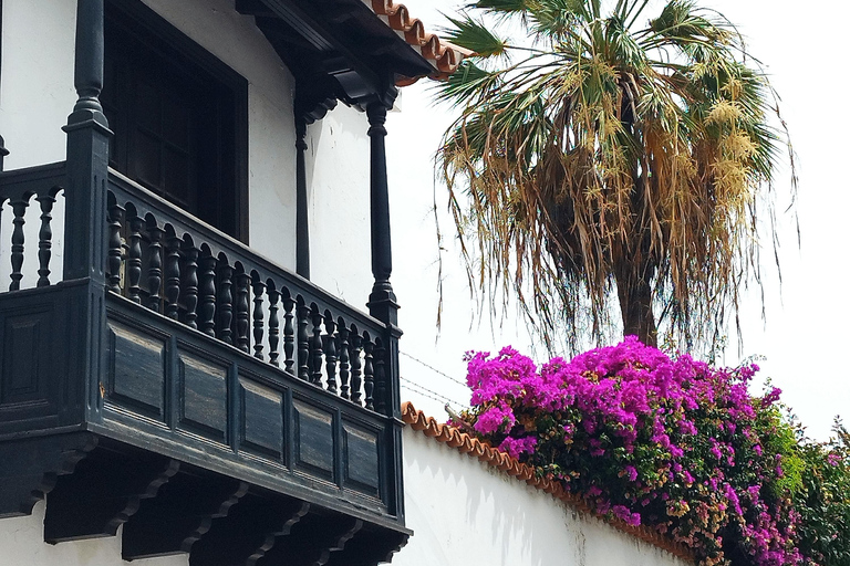 Percurso pedestre de 1 a 2 horas por Puerto de la Cruz, Tenerife