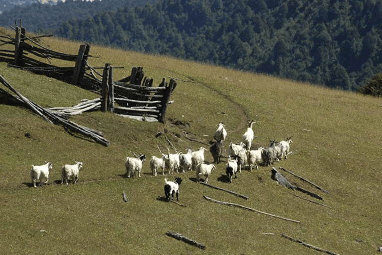 Bariloche: Manso River to the frontier Rafting Adventure Bariloche: Manso River Rafting Adventure