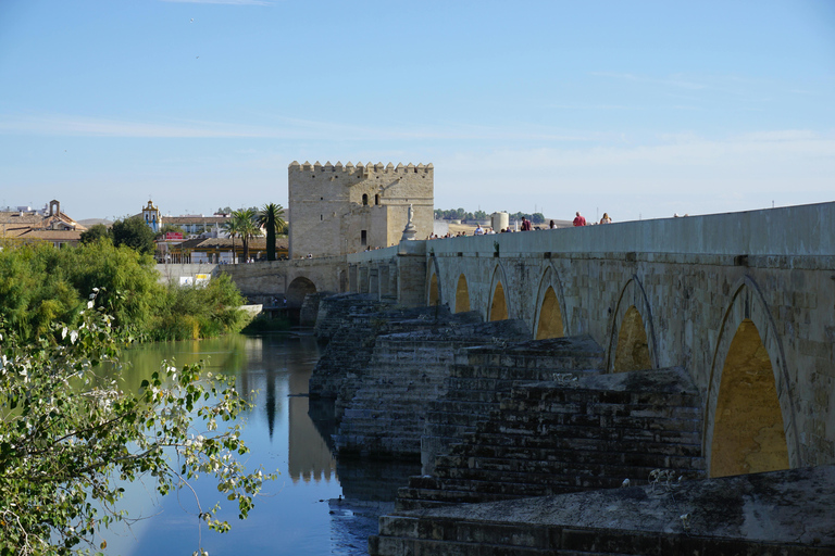 Córdoba Monumental Tour: Your First Introduction to Córdoba Córdoba Monumental Tour: Your First Introduction to Córdoba