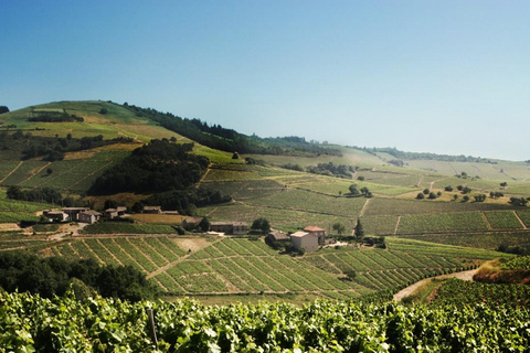 Lyon: Beaujolais Wine Tour with Tastings and Castle Visits