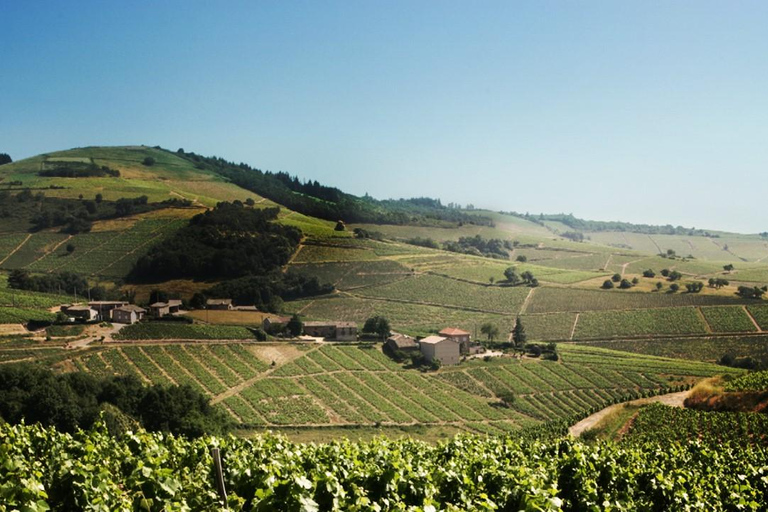 Lyon: Beaujolais Wine Tour with Tastings and Castle Visits