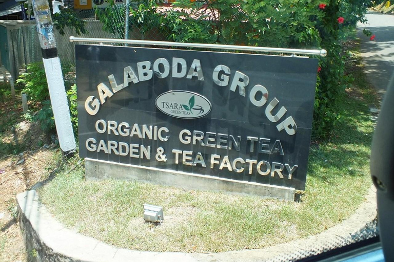 Tea Factory Tour with Tea Tasting , Pickup and Drop off