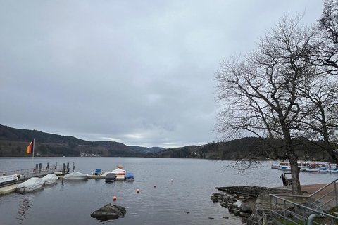 Vanuit Bazel: privé-excursie naar het Zwarte Woud, watervallen en meren