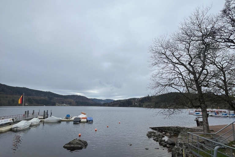 Vanuit Bazel: privé-excursie naar het Zwarte Woud, watervallen en meren