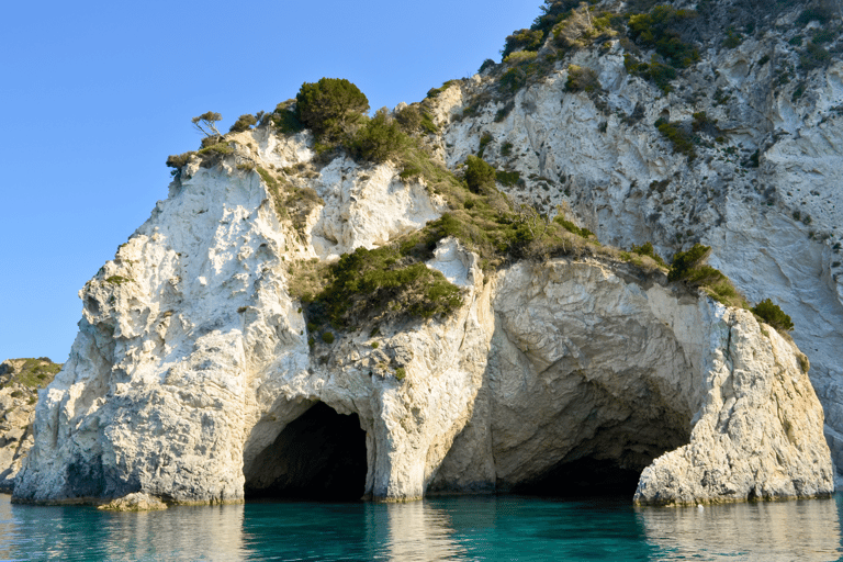 Zakynthos: Small Group Turtle Tour with Swim Stops