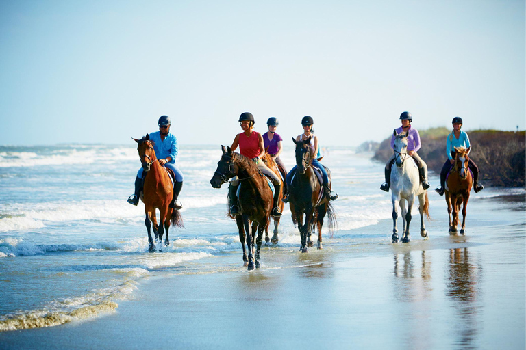 Ubud: Horse Riding, Zip-Line Tour & Manuaba Waterfall Tour Zip-Line Adventure & Manuaba Waterfall Tour