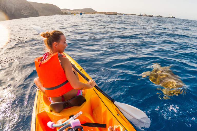 Tenerife: Kayak & Snorkeling Tour - Small Groups
