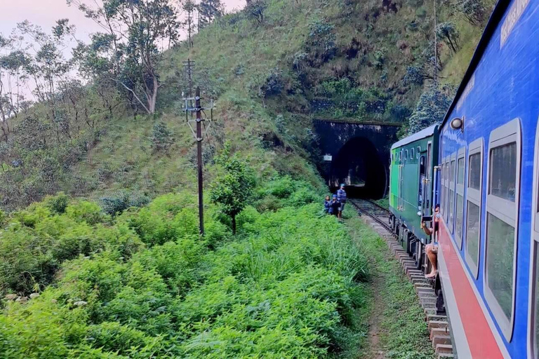 Kandy: Nanu Oya Scenic First Class Railway Experience
