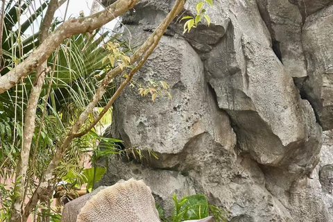 Okinawa: Neo Park Ticket & Digital Itinerary Plan