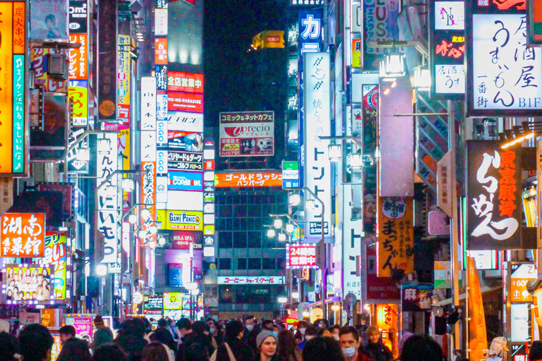 Tokio A: Tour de la ciudad en Español - Spanish Tokyo A: Private Tour