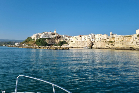 Vieste: South Coast Boat Excursion with a Swim Stop Vieste: South coast boat excursion with swim stop