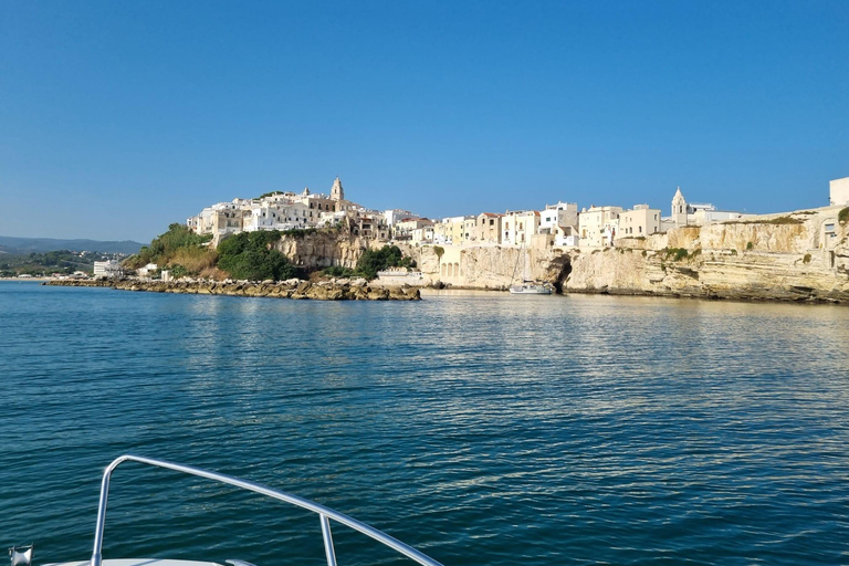 Vieste: South Coast Boat Excursion with a Swim Stop Vieste: South coast boat excursion with swim stop