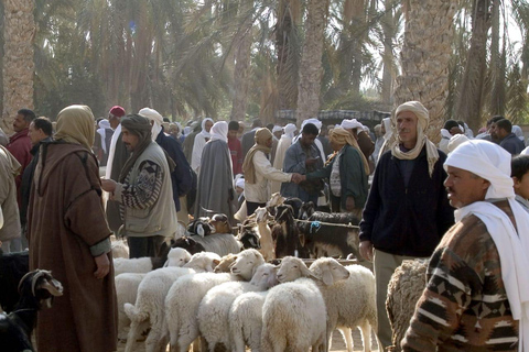 2 Dagen IN GROEP naar Sahara vanuit Sousse