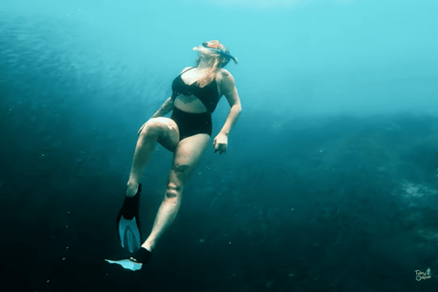 Cebu: Przygoda z nurkowaniem z rekinami wielorybimi w Oslob i Moalboal