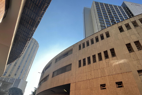 São Paulo: Underground Culture and Arts TourSão Paulo: tour door de undergroundcultuur en -kunst