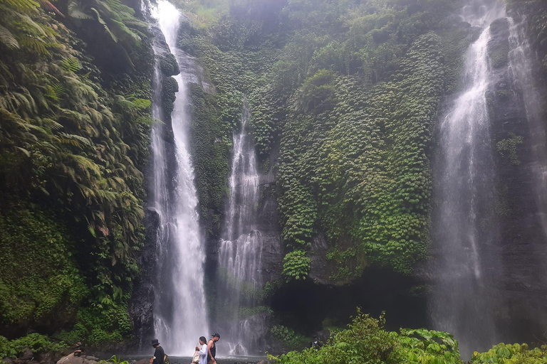 Trekking na selva em SekumpulTrekking na Cachoeira Sekumpul com tudo incluído