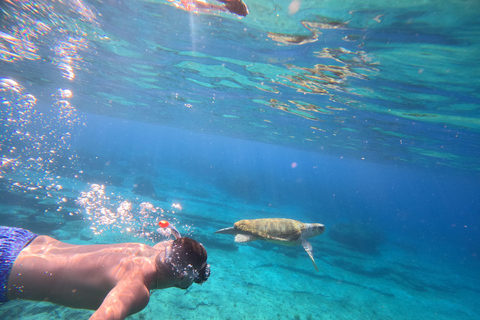 Paphos: snorkeltour met gids naar zeeschildpaddenPaphos: snorkelen met zeeschildpadden met gids