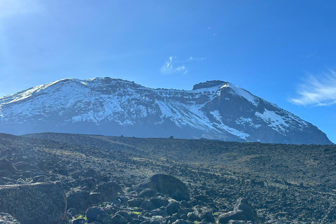 #1. Melhor Rota Machame do Kilimanjaro de 7 dias