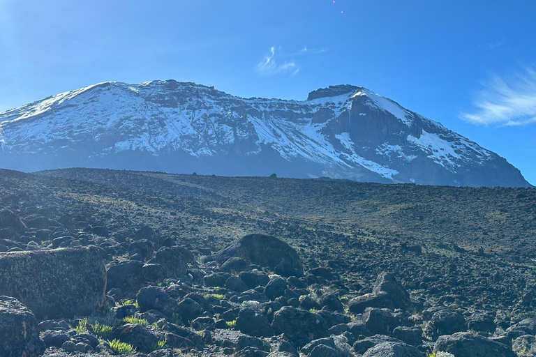 #1. Meilleur itinéraire de 7 jours pour le Kilimandjaro et la route Machame