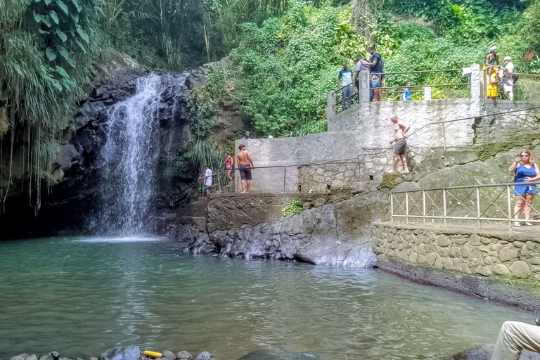 Shared Tour: Annandale Waterfall, Fort & Beach Escape