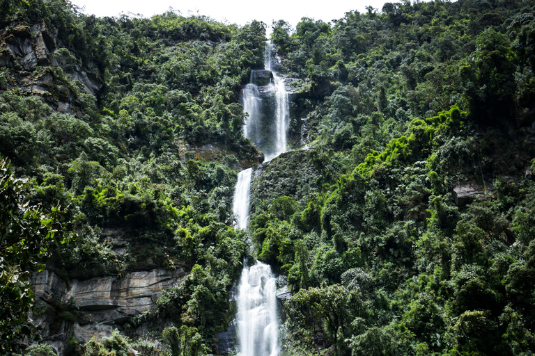 Bogotá: Private Tour to La Chorrera, Colombia’s Highest Fall La Chorrera Private Tour with Tickets, Guide and Transport.