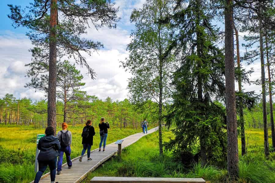 Von Tallinn: Rundgang zum Jägala-Wasserfall und zum Moor. Foto: GetYourGuide Von Tallinn: Rundgang zum Jägala-Wasserfall und zum Moor. Foto: GetYourGuide