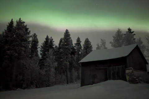 Rovaniemi: Northern Lights Reindeer Sleigh Ride 3,5km