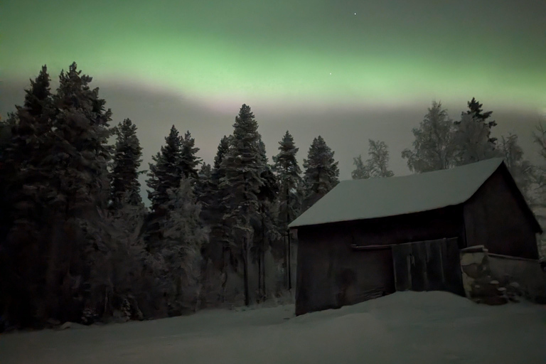 Rovaniemi: Northern Lights Reindeer Sleigh Ride 3,5km