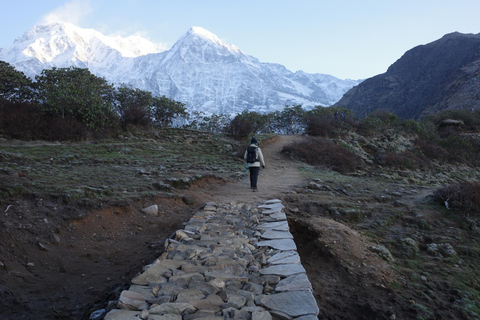 Från Katmandu: 8-dagars Mardi Himal Trek med transfer