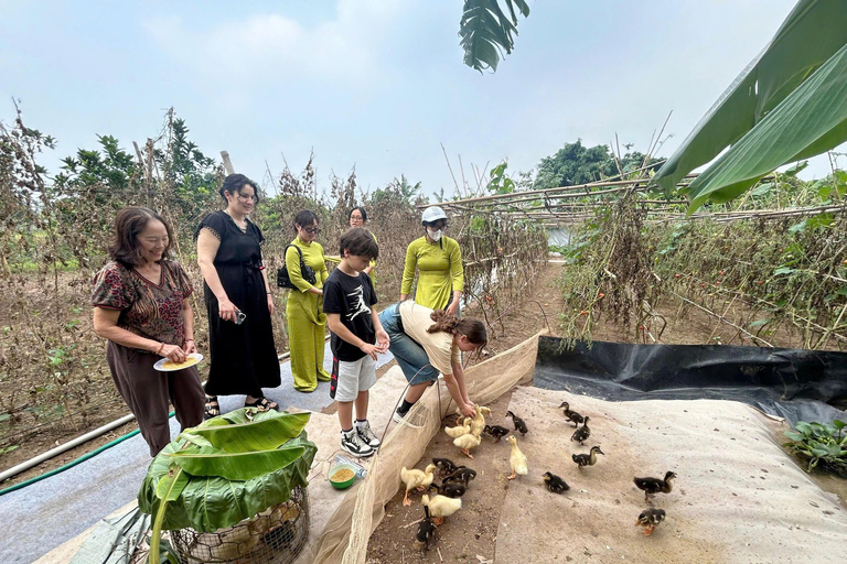 Hanoi Jeep Safari Tour: Red River Island Adventure | 2 Hours