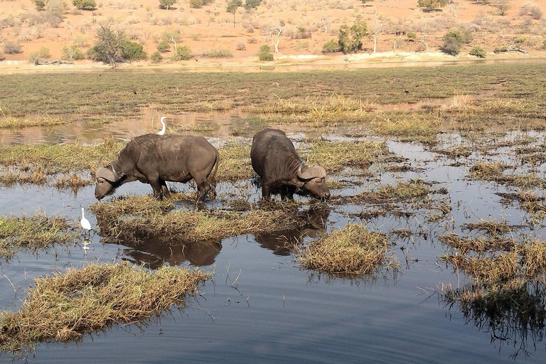 Victoria Watervallen: Zambezi rivier boottocht bij zonsondergang met drankjes