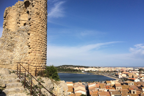 Narbonne, Gruissan et le village de Lagrasse. Excursion d'une journée