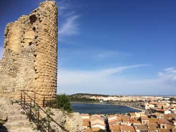 Narbonne, Gruissan & Lagrasse village . Day tour