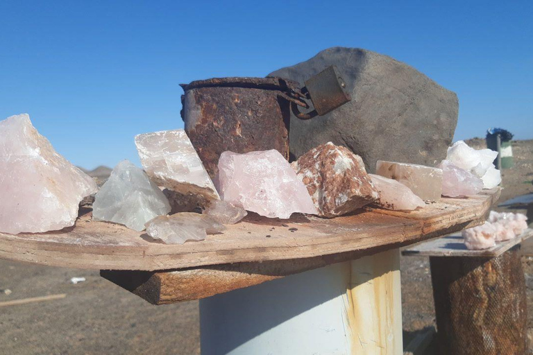 Côte des squelettes : visite guidée de Cape Cross et Henties BayCôte des squelettes : Cape Cross et Henties Bay - Visite guidée