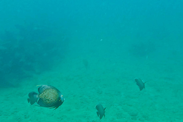 Fort Lauderdale: Ocean Reef Snorkel Tour w/ Snacks & Drinks