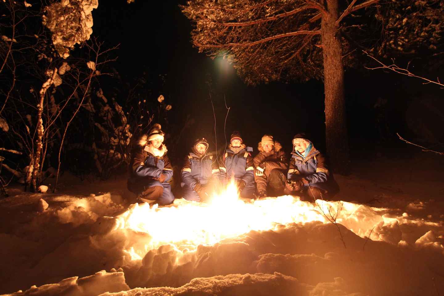 Excursión con raquetas de nieve a las Auroras Boreales